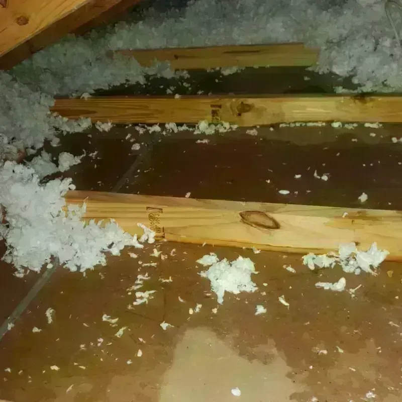 Attic Water Damage in Tahlequah, OK