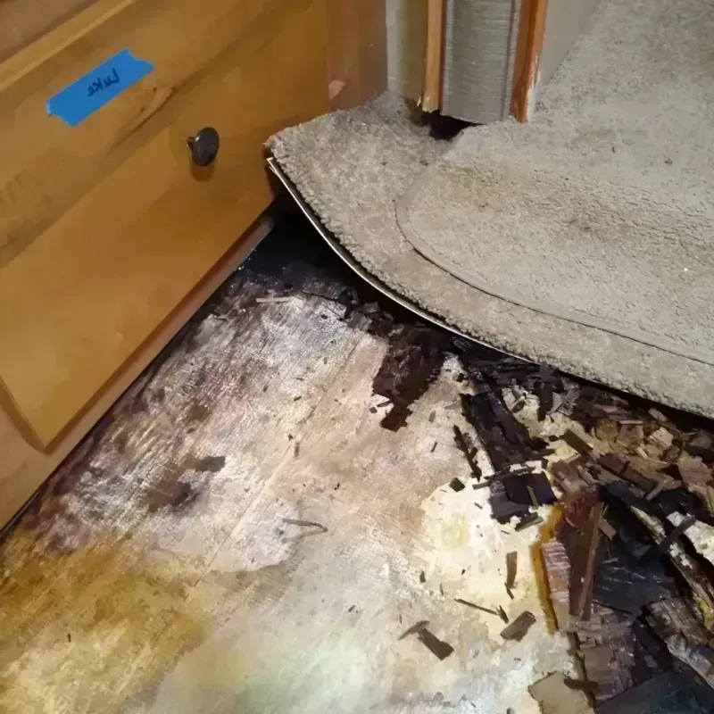 Wood Floor Water Damage in Tahlequah, OK